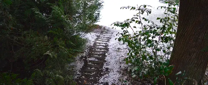 snow trail